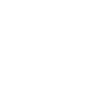 NordicBet transparent logo