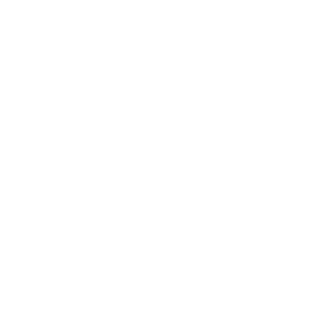 Wunderino transparent logo